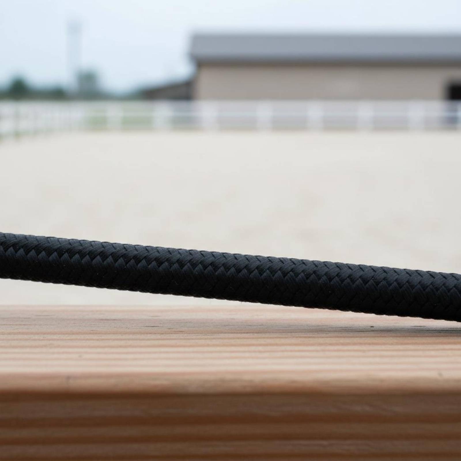 3 Pieces Dressage Training Whi - Riding Crop Dressage recensione e prezzo