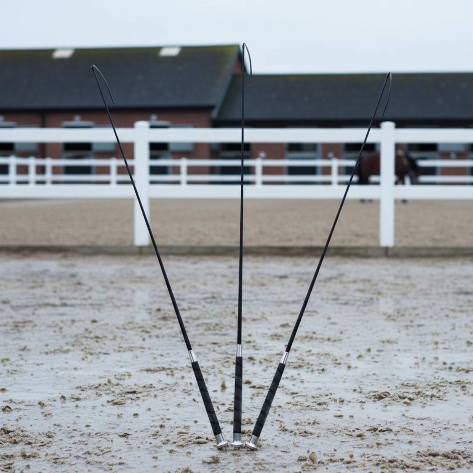 3 Pieces Dressage Training Whi - Riding Crop Dressage recensione e prezzo
